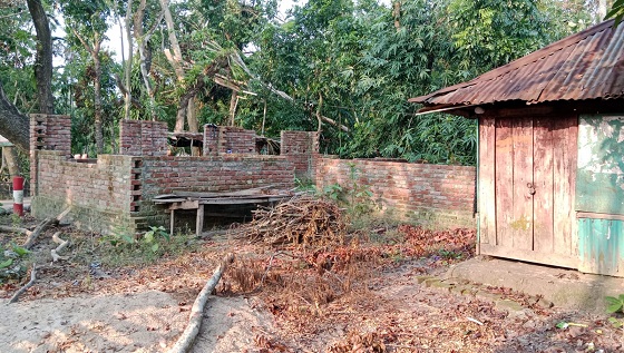 image-here